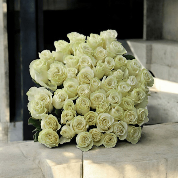 Puokštė "Baltos Rožės" 31...