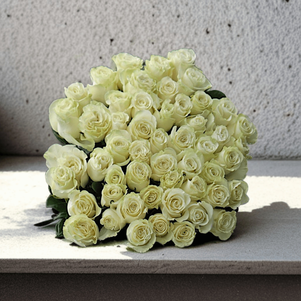 Baltos Ekvadoro rožės ~70 cm, Kaina...