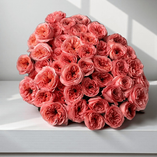 Bijūninės Garden Rožės...