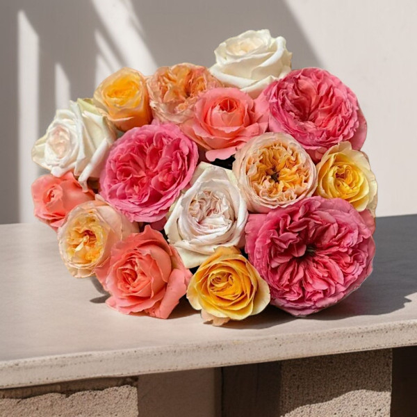 Bijūninės (Garden) Rožės (Spalvų Mix), Kaina nurodyta 1 vnt.