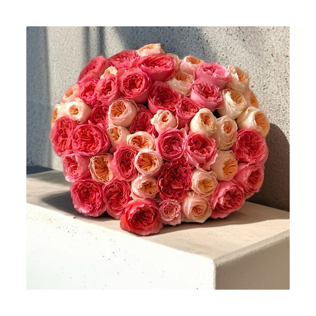 Bijūninės (Garden) Rožės (Spalvų...