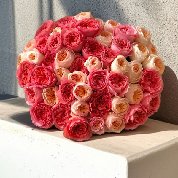 Bijūninės (Garden) Rožės (Spalvų Mix), Kaina nurodyta 1 vnt.