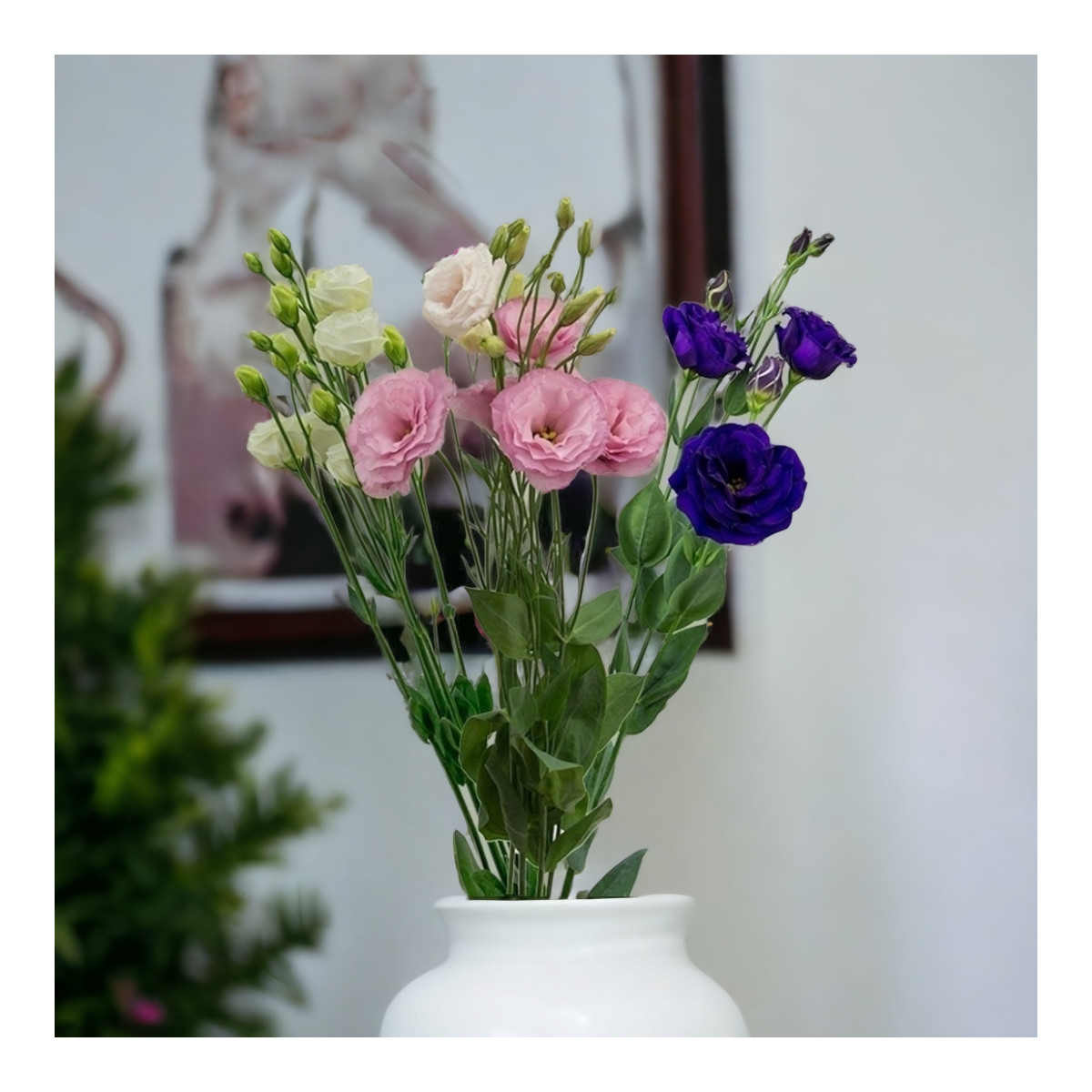 Eustomos (Spalvų Mix), Kaina nurodyta...