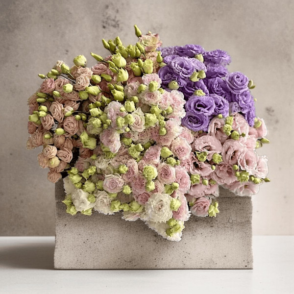 Puokštė "Eustomų Gama" 11...