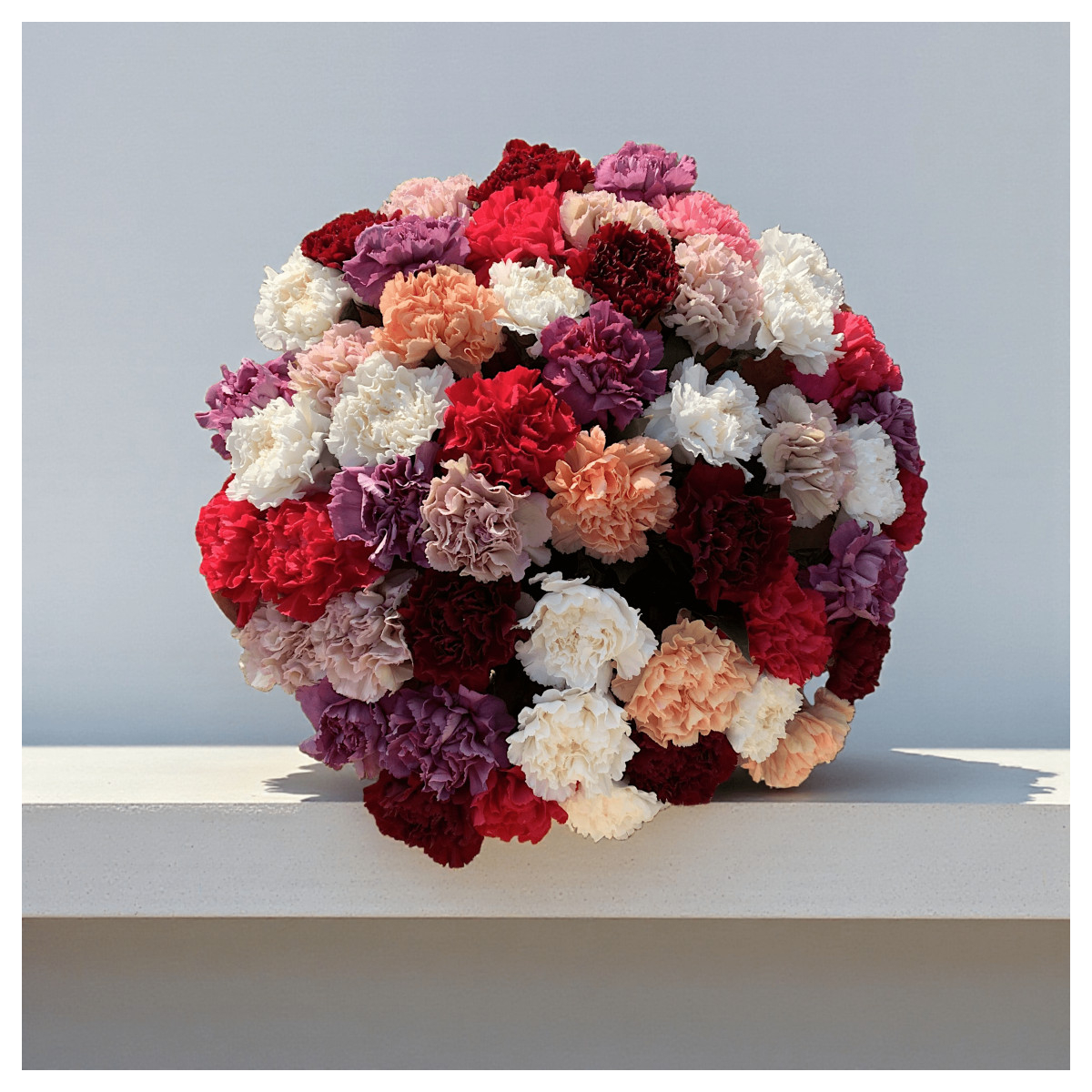 Puokštė "Gvazdikų Gama" 31 vnt....