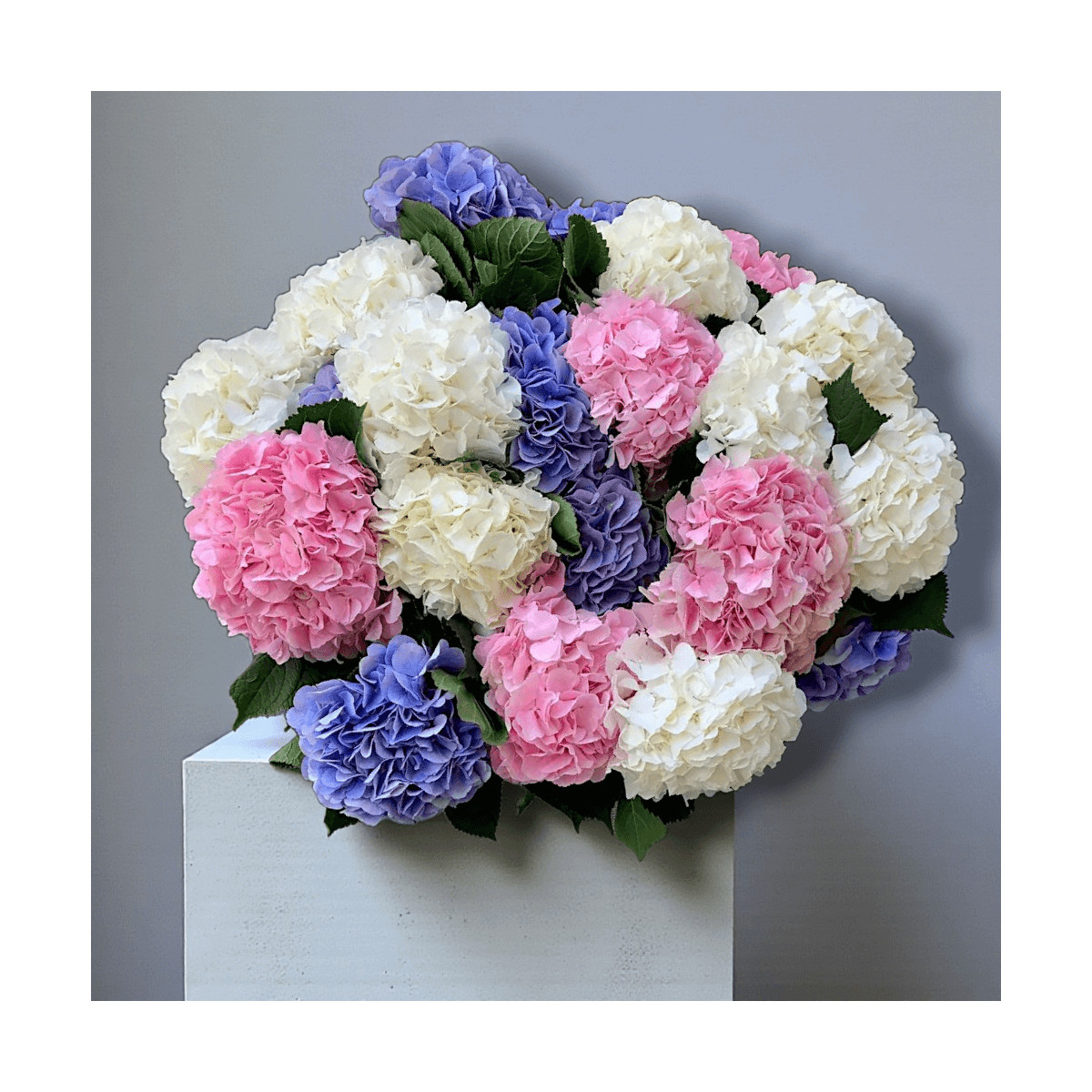 Puokštė "Hortenzijų Gama" 11 vnt....