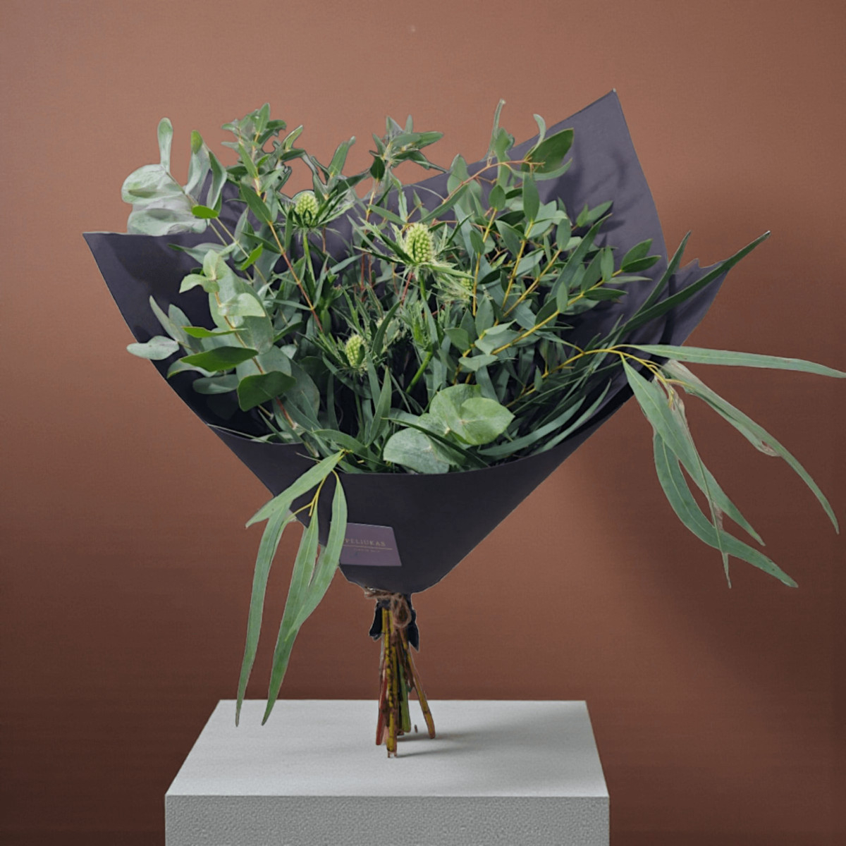 Puokštė „Kunigunda“ — Colour Line...