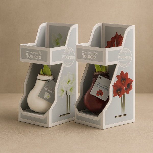 Vazoninis augalas „Vaškuota...