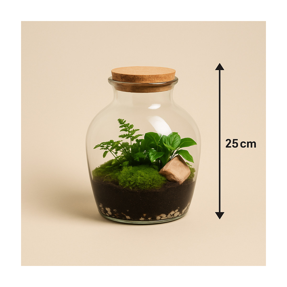 Augalų terariumas „Žalias pasaulis“