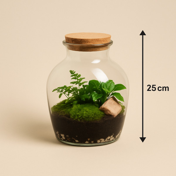 Augalų terariumas „Žalias pasaulis“