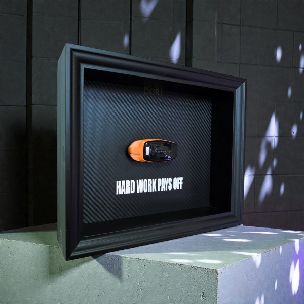 Motyvacinis Paveikslas -... 2