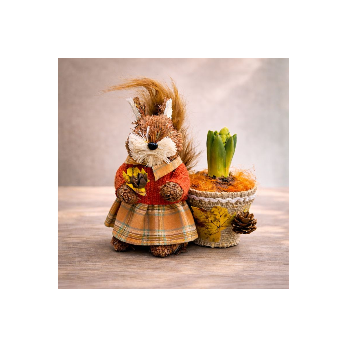 Vazoninis augalas „Miško Voverytė“