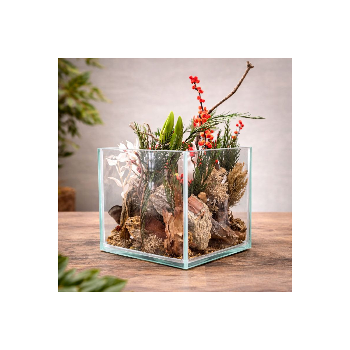 Vazoninis augalas „Miško Tyla“