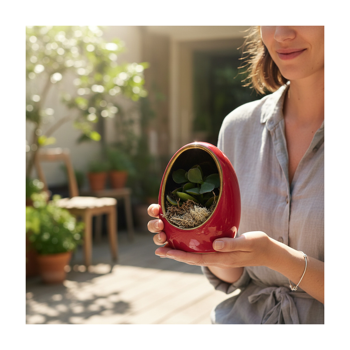 Vazoninis augalas „Raudonasis Oazės...