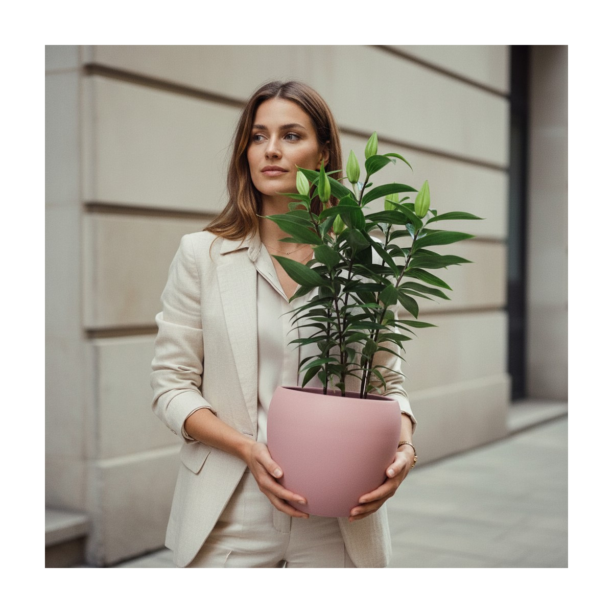 Vazoninis Augalas "Sodri Lelija"