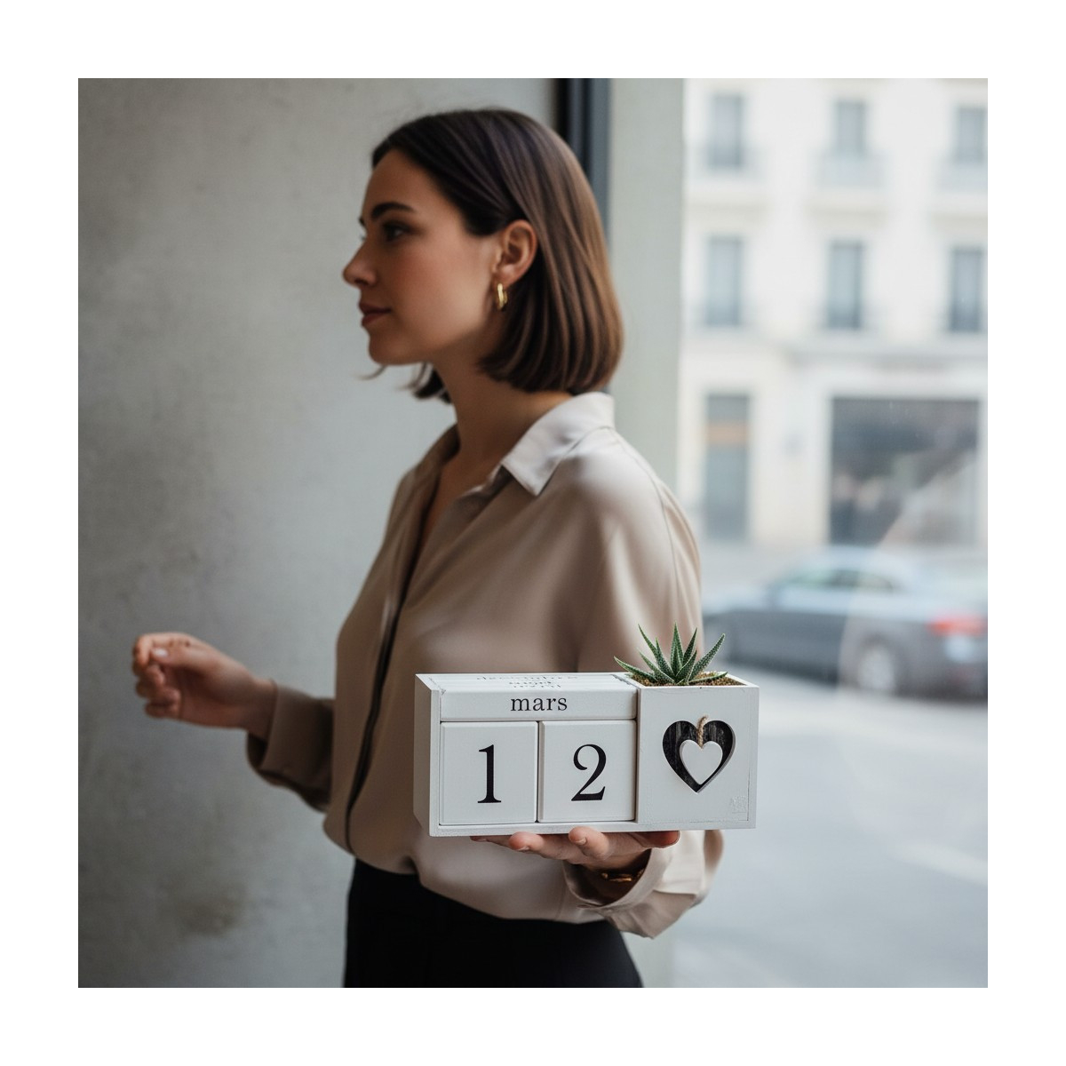 Vazoninis Augalas „Laiko Forma“