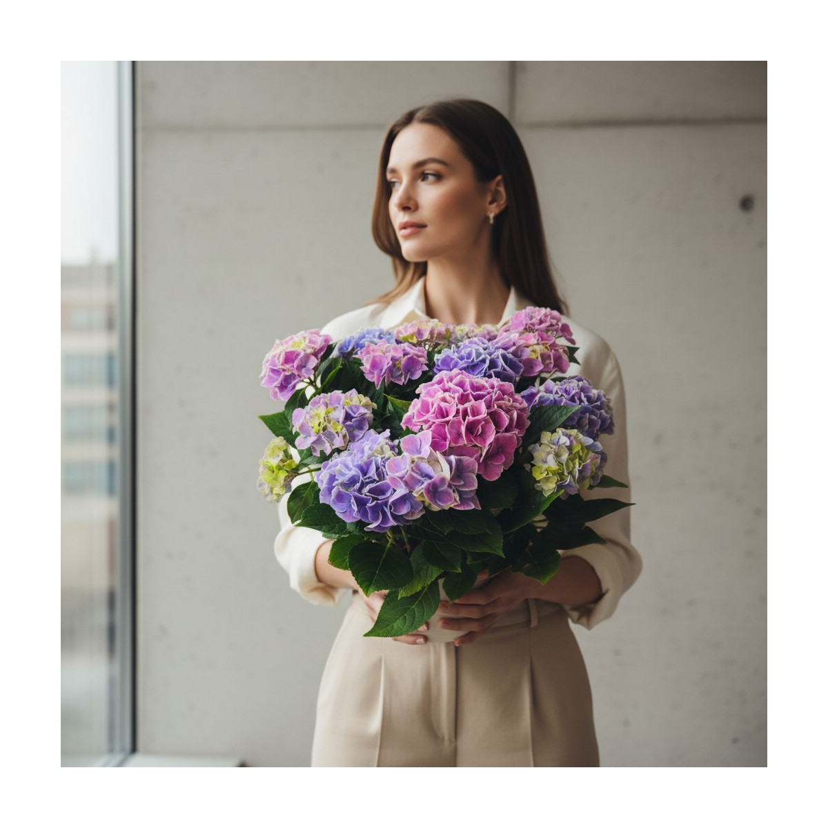 Vazoninis Augalas "Hortenzija"