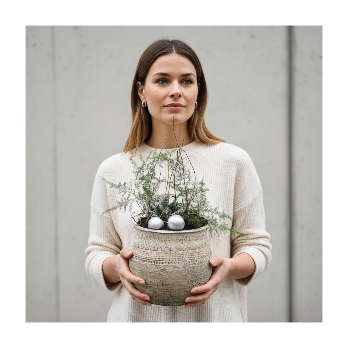 Vazoninis augalas „Sukulentas Natural...