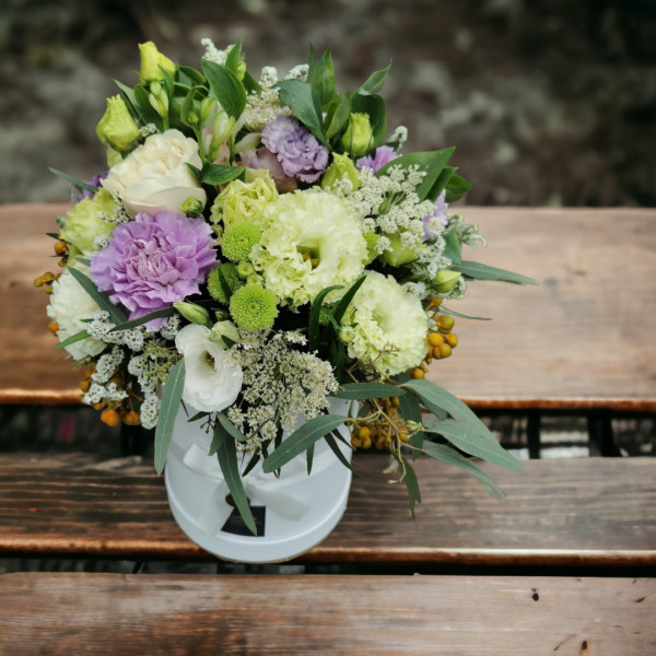 Dėžutė "Švelni Melodija"