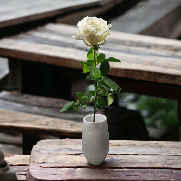 Baltos Ekvadoro rožės ~70 cm, Kaina nurodyta 1 vnt.