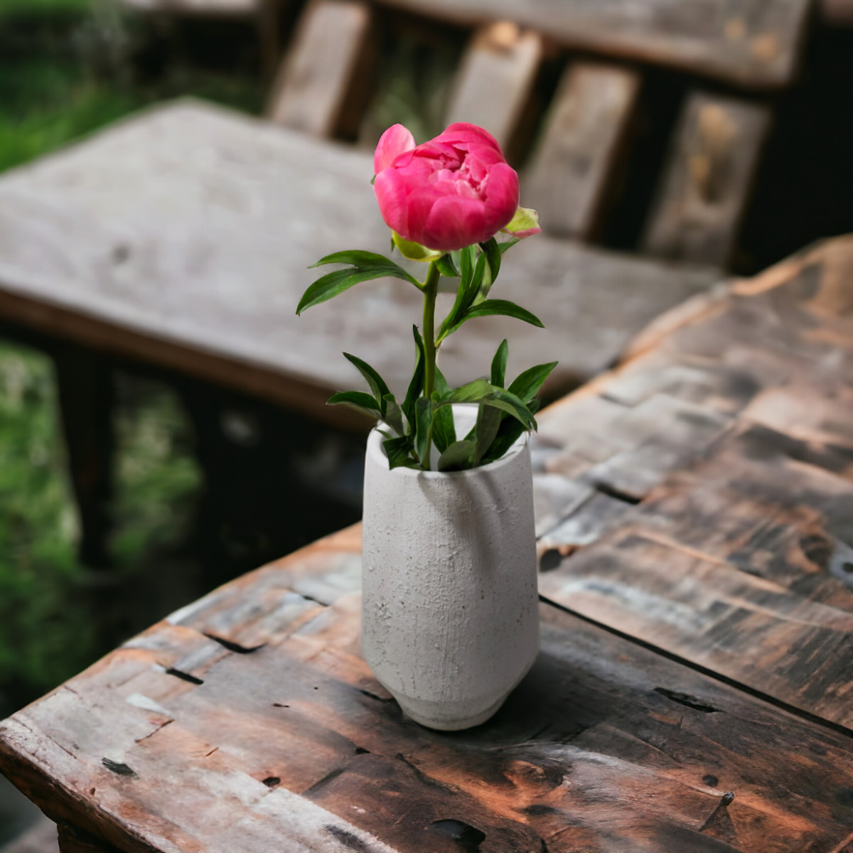 Bijūnai (Spalvų Mix), Kaina nurodyta...