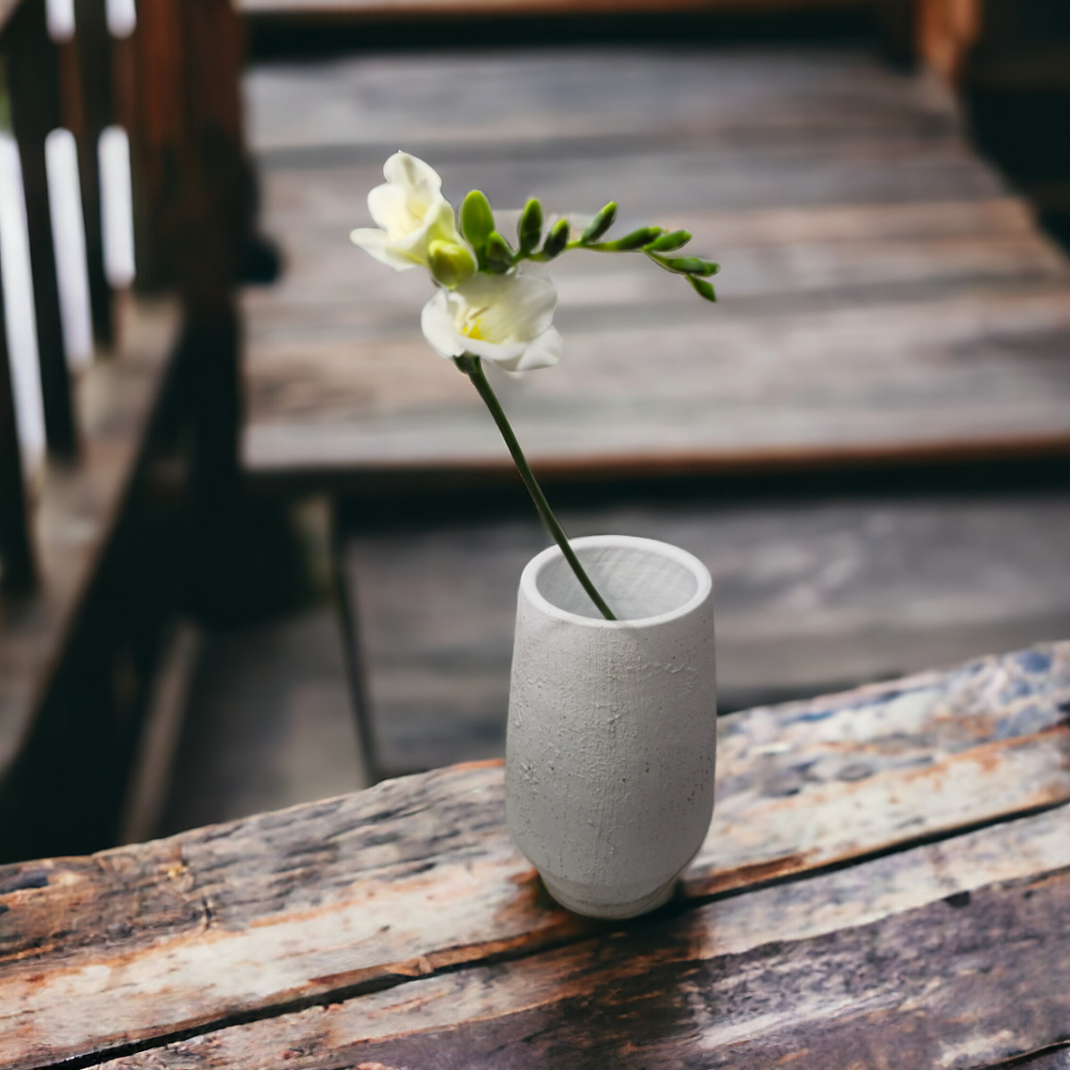 Frezijos (Spalvų Mix), kaina nurodyta...