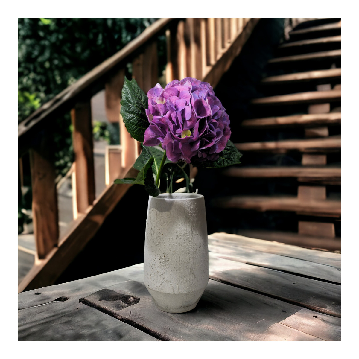 Hortenzijos (Spalvų Mix), Kaina...