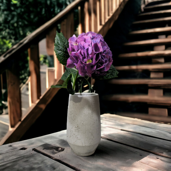 Hortenzijos (Spalvų Mix), Kaina nurodyta 1 vnt.