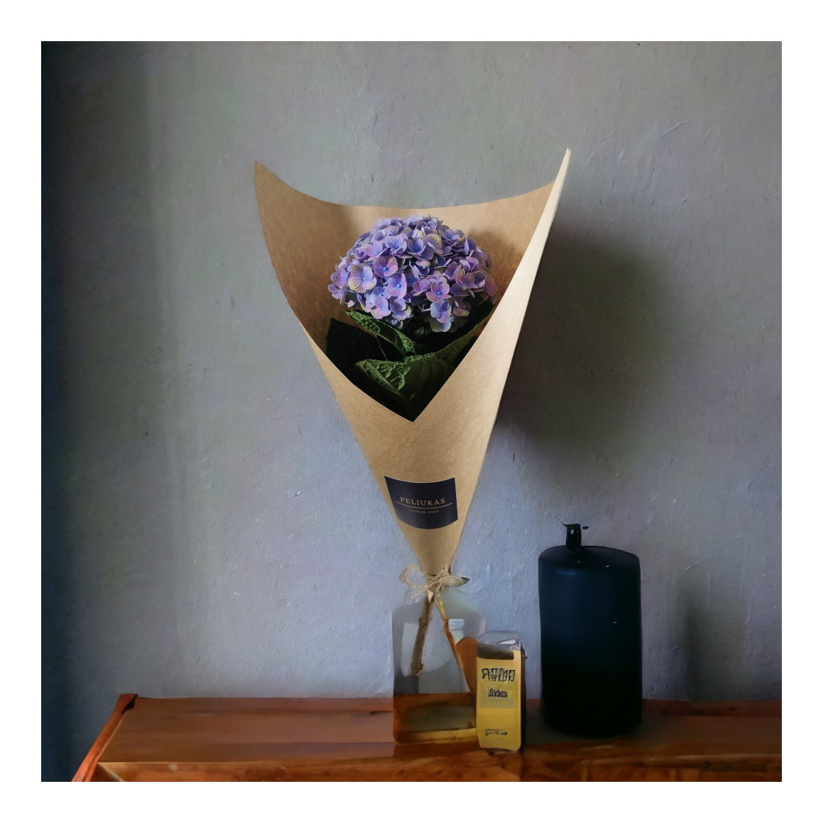 Hortenzijos (Spalvų Mix), Kaina...