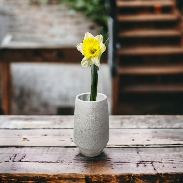 Narcizai (Spalvų MIX) 2