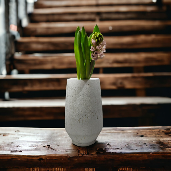 Kvepiantys Hiacintai (Spalvų Mix)