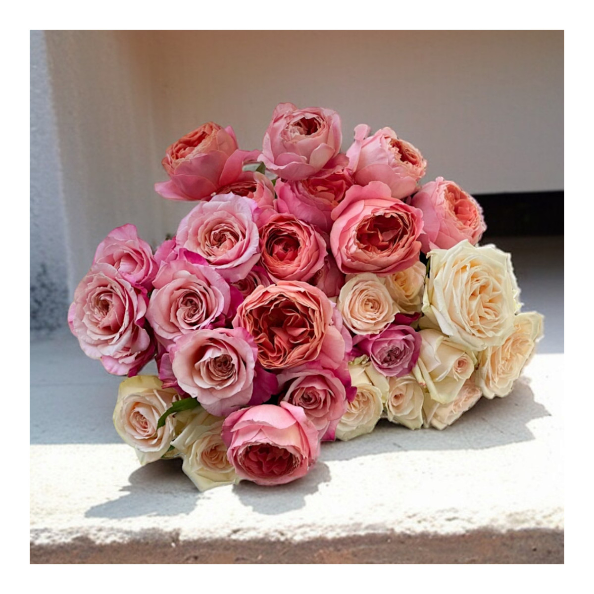 Bijūninės (Garden) Rožės (Spalvų...